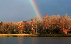 Rainbow over Trees, Private Lake Community in Gouldsboro, PA